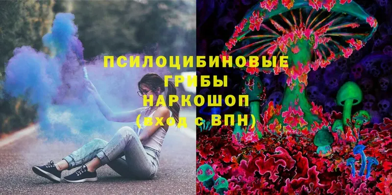 Псилоцибиновые грибы Magic Shrooms Россошь